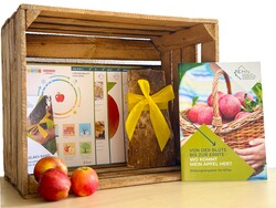 Gelbes Band Kitaprojekt - © ZEHN Gelbes Band Kitaprojekt