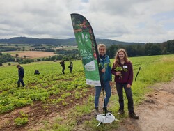 Ökomodellregion LK Göttingen Soja-Feldtag - © Landkreis Göttingen  Ökomodellregion LK Göttingen Soja-Feldtag