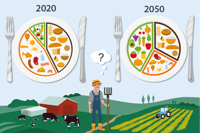 Wirkungen sich ändernder Ernährungsgewohnheiten auf die deutsche Landwirtschaft - © Thuenen-Institut Wirkungen sich ändernder Ernährungsgewohnheiten auf die deutsche Landwirtschaft