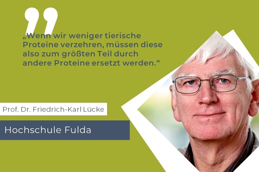 PFLANZE, TIER ODER LABOR – WOHER KOMMEN PROTEINE IN EINER PFLANZENBETONTEREN ERNÄHRUNG?