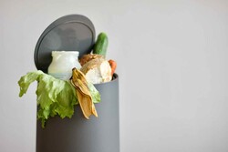 VERSCHWENDEN BEENDEN - Tellerresten auf der Spur! - © Vernetzungsstelle Schulverpflegung Niedersachsen e. V. VERSCHWENDEN BEENDEN - Tellerresten auf der Spur!