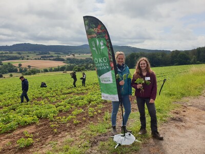 Ökomodellregion LK Göttingen Soja-Feldtag - © Landkreis Göttingen  Ökomodellregion LK Göttingen Soja-Feldtag