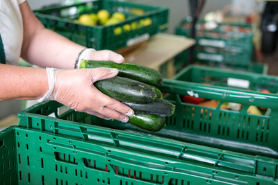 Zucchinis werden verpackt